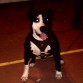 duke ronaldo hace un partidito????